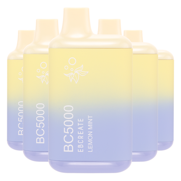 5 Pack Lemon Mint BC5000 Disposable Vape